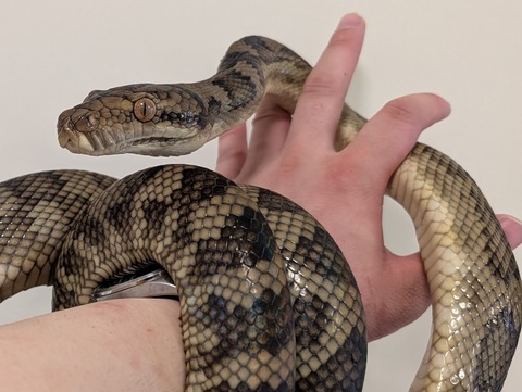 PXL_20250628_053136217~2