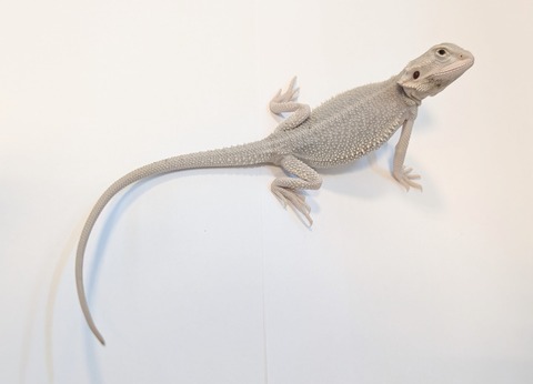 PXL_20250401_092525341~2