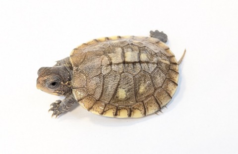 PXL_20251103_101328378~2