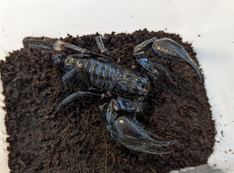 PXL_20250622_112652335~2