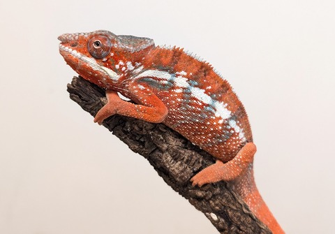 PXL_20251207_095625398~2