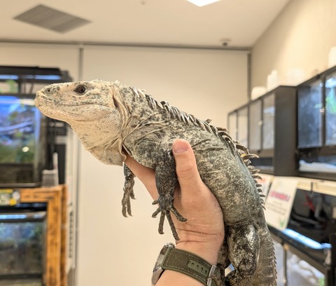 PXL_20260122_091259046~2