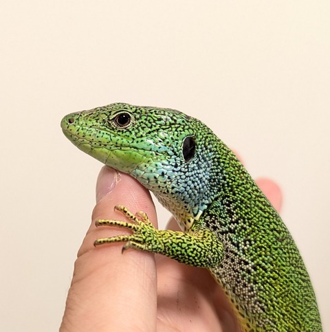 PXL_20251120_075335281~2