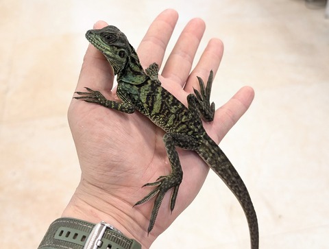 PXL_20251020_085416747~2