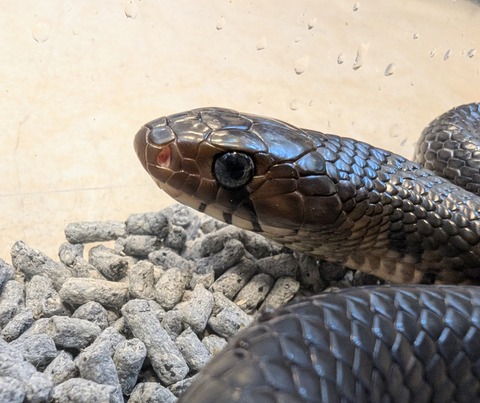 PXL_20241228_113325375~2