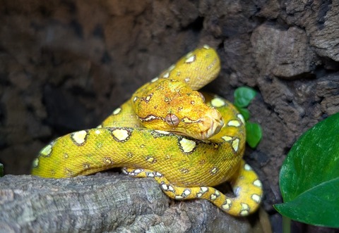 PXL_20260102_094016560~2