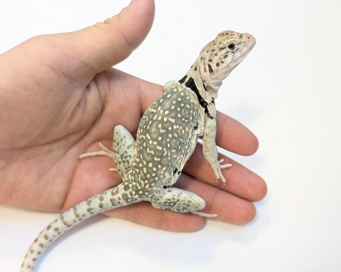 PXL_20250508_100540245~2