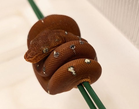 PXL_20260101_105851865~2