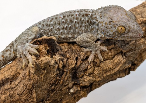 PXL_20251104_111106613~2