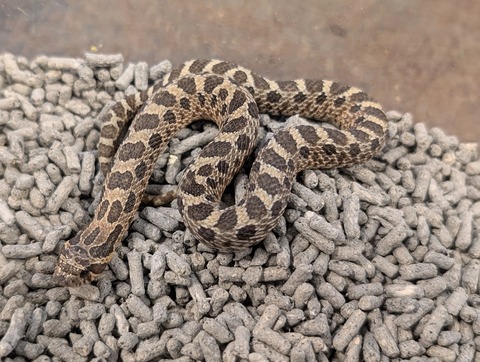 PXL_20250208_073757999~2