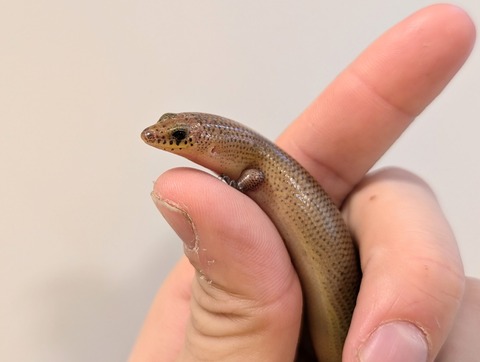 PXL_20241228_093802684~2