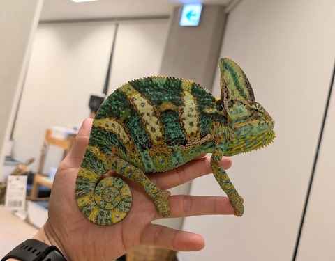 PXL_20241228_101711461~2