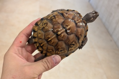 PXL_20251122_045446129~2