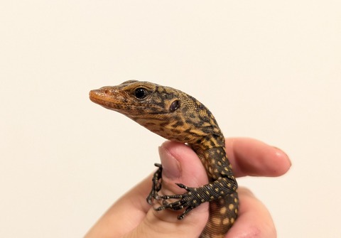 PXL_20251202_100824451~2