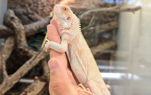 PXL_20250919_070411916~2