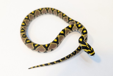 PXL_20250906_103724527~2