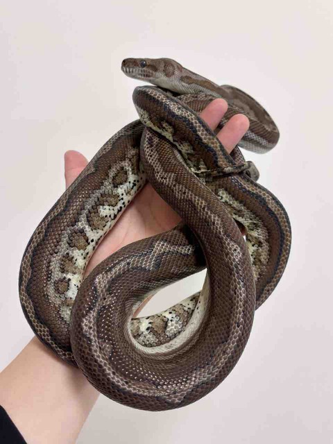 FullSizeRender