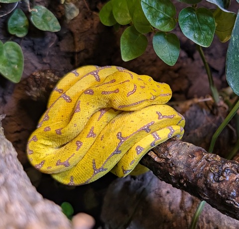 PXL_20251113_113039331