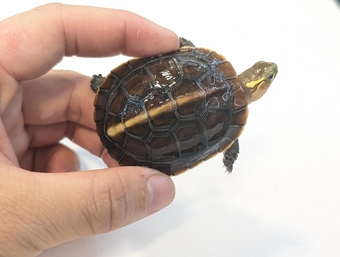 PXL_20250919_114027104~2