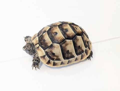 PXL_20250502_103439735~2