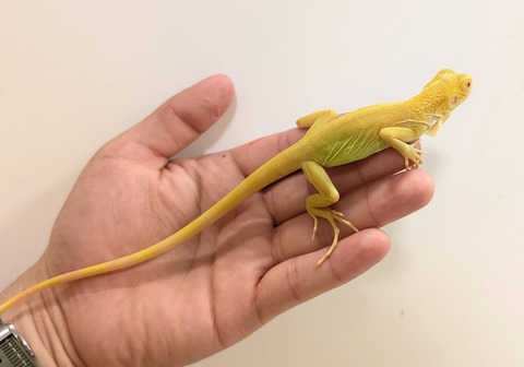 PXL_20250620_131230678~2