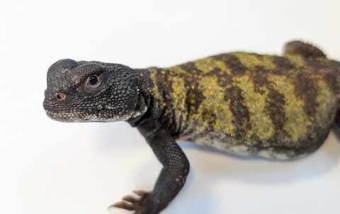 PXL_20251004_085527033~2