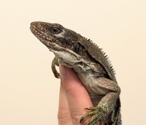 PXL_20250820_071808791~2