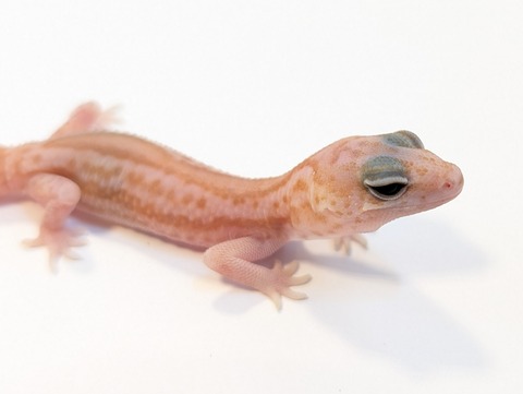 PXL_20250501_082655477~2