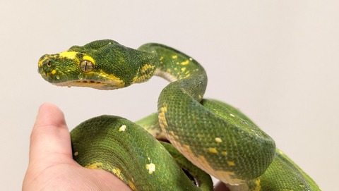 PXL_20250920_110405323~2