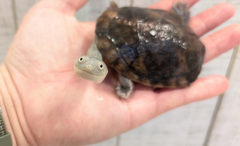 PXL_20250502_105522046~2