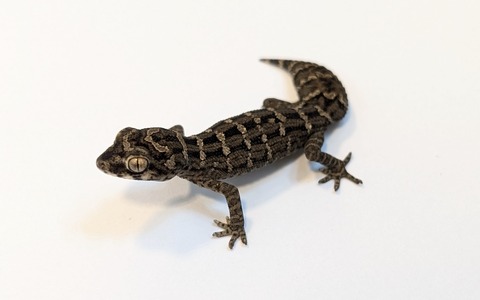 PXL_20250318_085905093~2