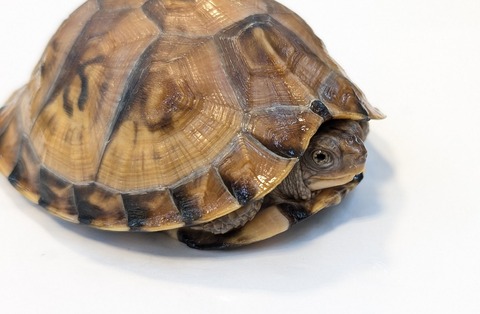 PXL_20251103_101707090~2