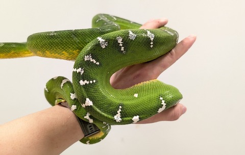 PXL_20250905_065531619~2