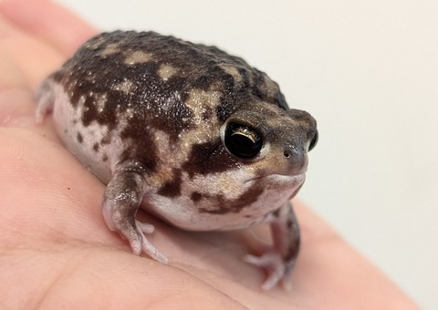 PXL_20251207_014115620