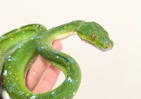 PXL_20251120_070959963~2