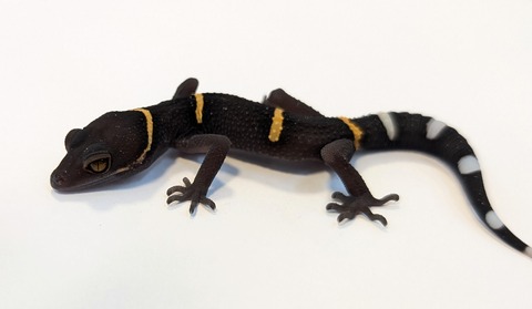 PXL_20250823_100456515~2