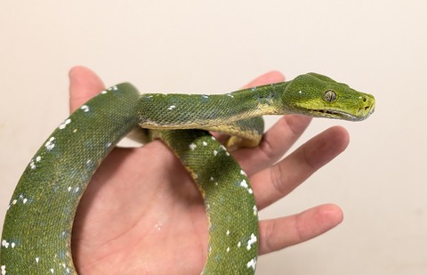 PXL_20251022_062317999~2