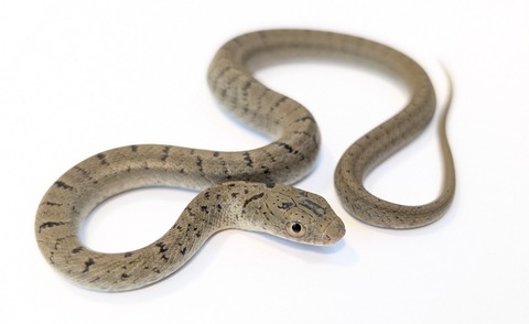 PXL_20251027_103934340~2