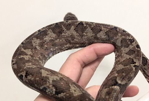 PXL_20260212_080855473~2