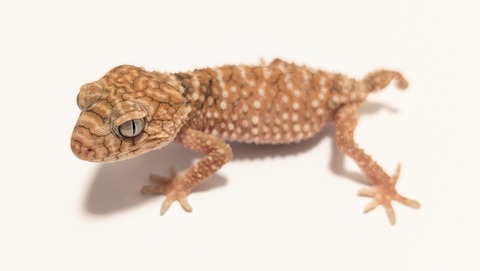 PXL_20250920_072647447~2