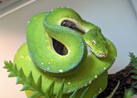 PXL_20250520_100420503~2