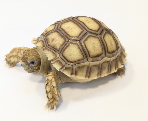 PXL_20250502_104421001~2