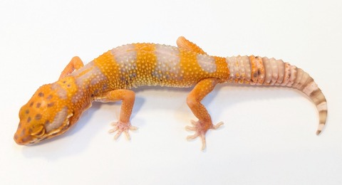 PXL_20250513_093307789~2