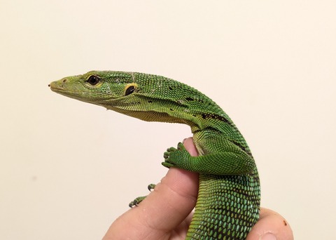 PXL_20260102_014139555