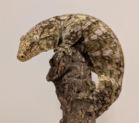 PXL_20250620_132338174~2