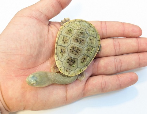 PXL_20250424_090246019~2