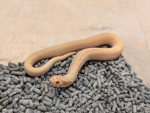 PXL_20241228_112728145~2