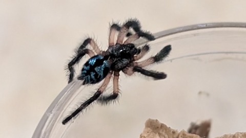 PXL_20251231_085054178