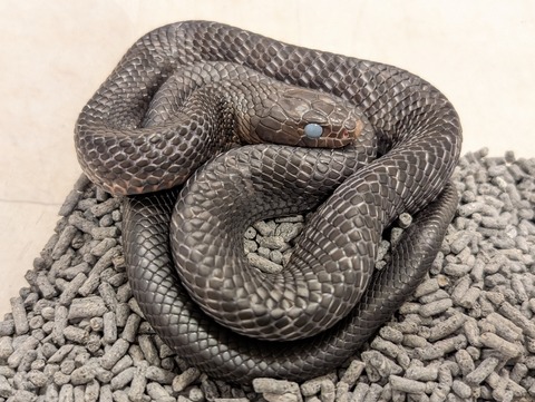 PXL_20250620_132057168~2