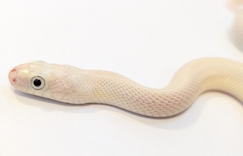 PXL_20250716_083225651~2